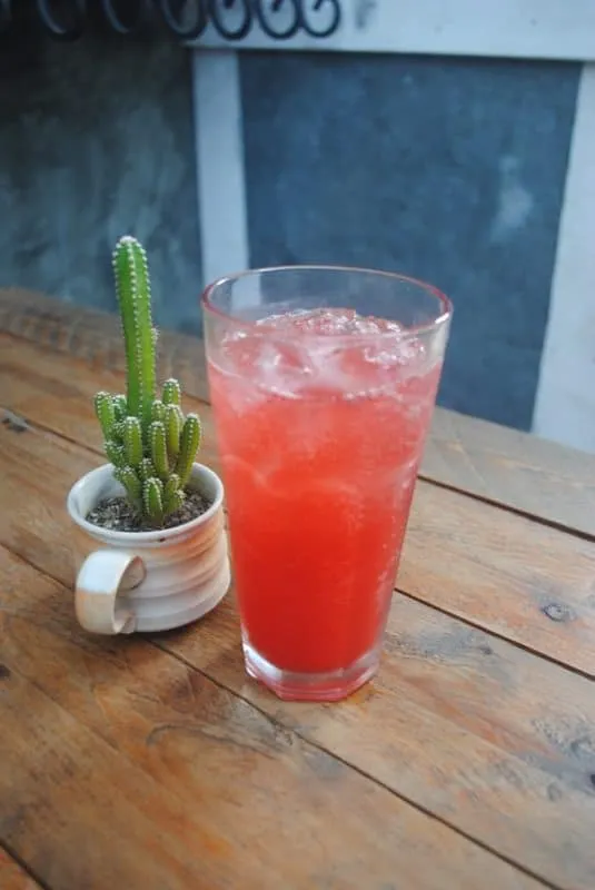 memorial day berry soda drinks 4